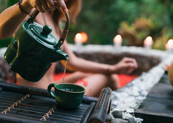 Hotel Bali Dacha